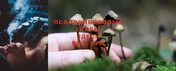 гашиш Дмитровск