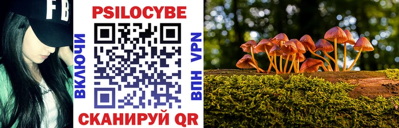 Псилоцибиновые грибы Magic Shrooms  магазин  наркотиков  Струнино 